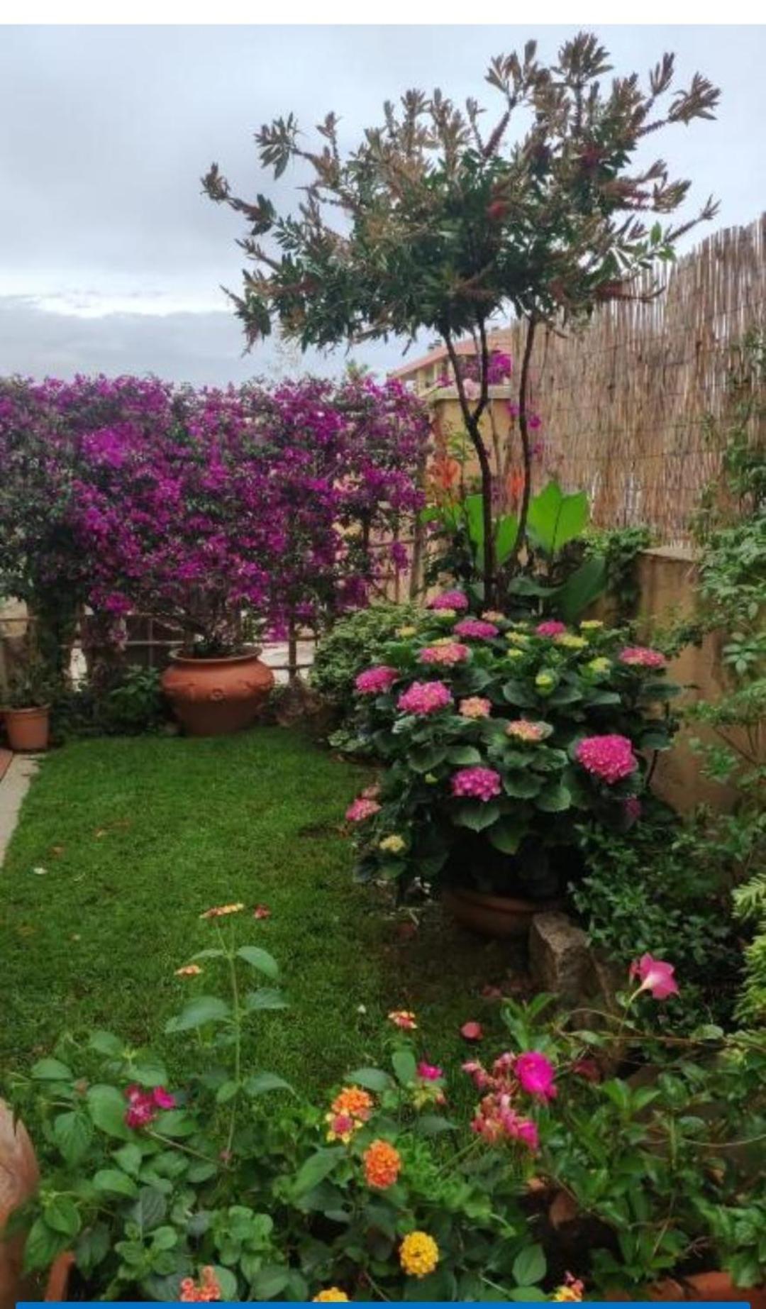 La Casa Di Luca Leilighet Olbia Eksteriør bilde